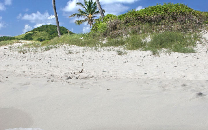 Kingstown
